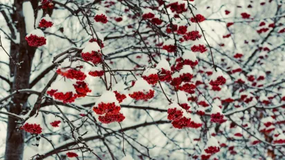 На вихідних погода в Україні почне змінюватися: яких областей торкнеться - фото