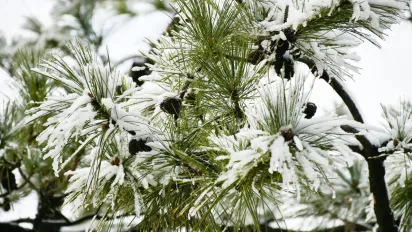 Гороскоп на 22 лютого 2025 року для всіх знаків Зодіаку - фото