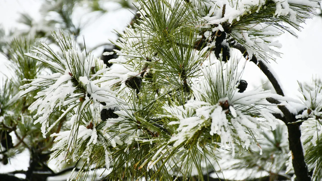 Гороскоп на 22 лютого 2025 року для всіх знаків Зодіаку 