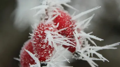 Вітер на вихідних посилиться, а температура впаде на 5 градусів нижче норми: прогноз синоптика - фото