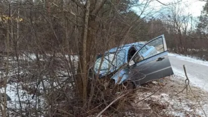 Авто влетіло в дерево: у смертельній ДТП на Житомирщині загинув чоловік - фото