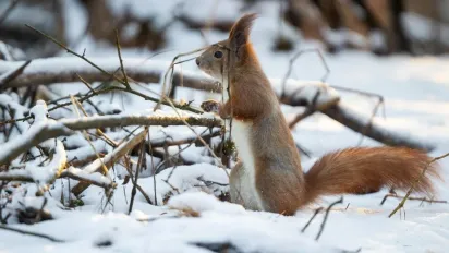 Скільки ще в Україні триматимуться морози: прогноз синоптикині - фото
