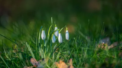 Синоптикиня розказала, яка погода буде в Україні на початку весни - фото