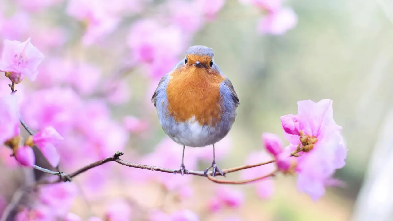 Гороскоп на 26 лютого 2025 року для всіх знаків Зодіаку 