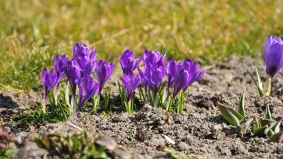 Укргідрометцентр повідомив, яка погода чекає на українців у березні - фото