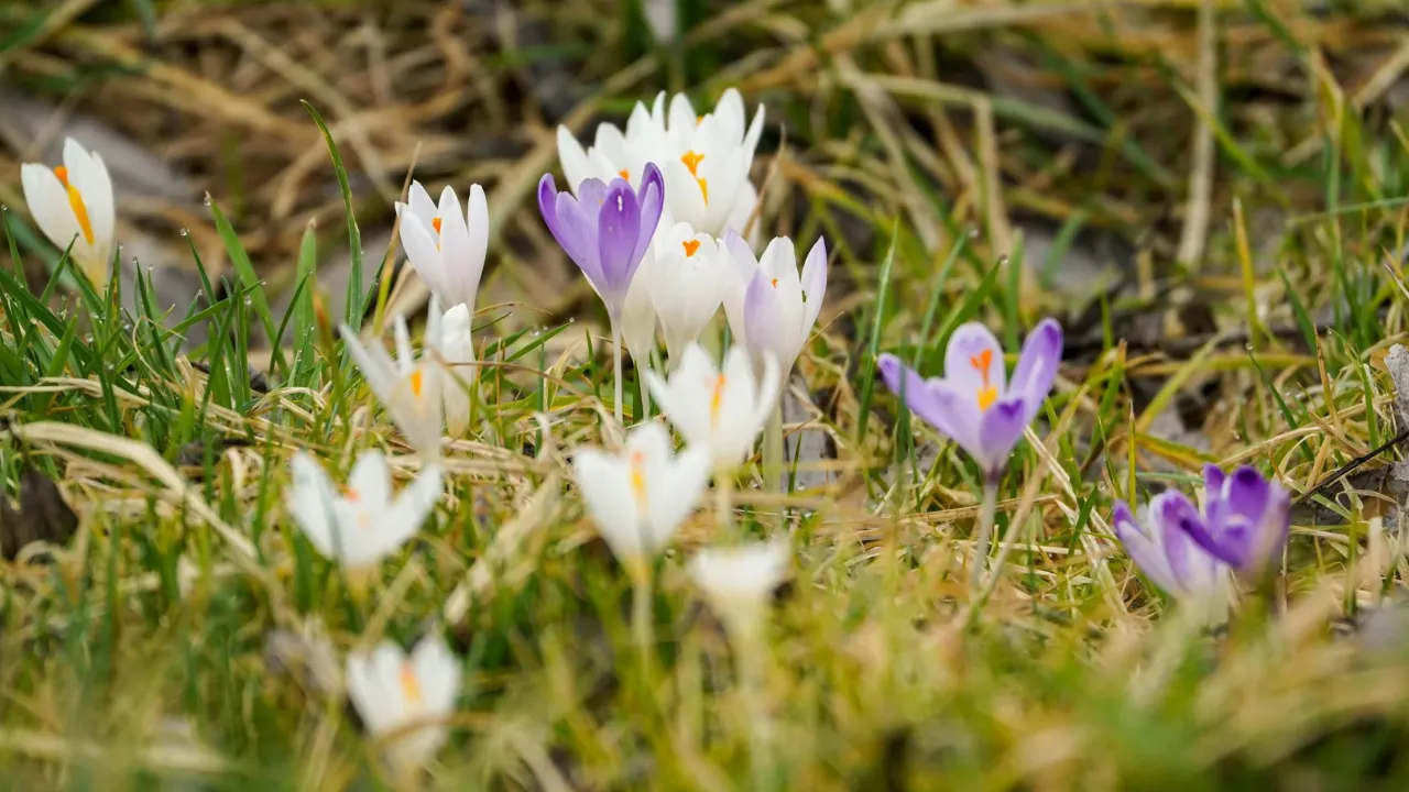 Якою буде погода на початку березня: прогноз синоптика 