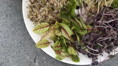 Несподівані переваги молодої зелені для здоров'я - фото