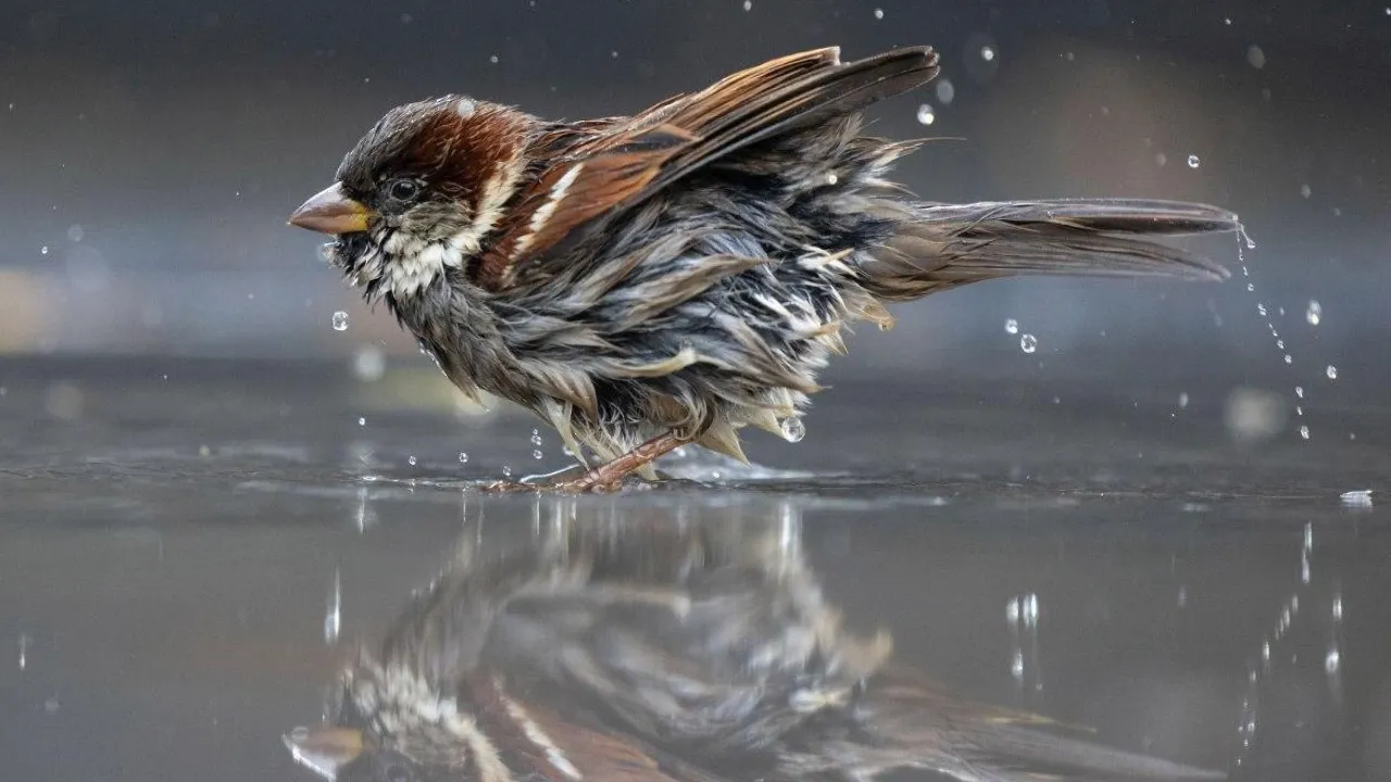 Очікуються температурні контрасти: прогноз погоди на вихідні 