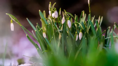 Синоптик розповів, як зміниться погода в Україні з початком весни - фото