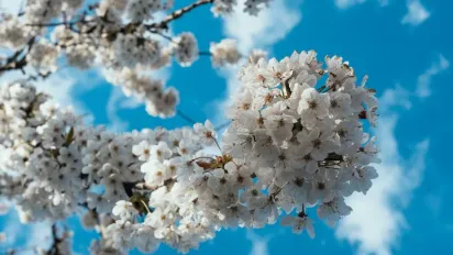 Один аномальний місяць: кліматологиня розповіла, якою буде погода весною - фото