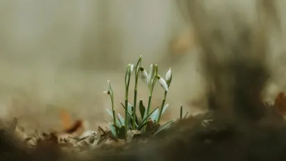 Сьогодні в Україні буде майже без опадів: прогноз погоди на 3 березня - фото