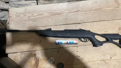 На Буковині 9-річний хлопчик під час гри вистрілив у свого брата з пневматичної гвинтівки - фото