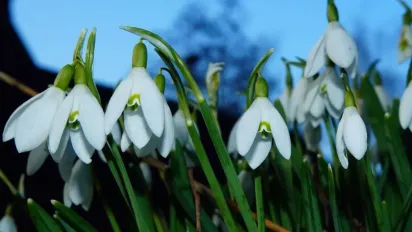 Сьогодні в Україну увірветься 15-градусне тепло: де температура буде найвищою - фото