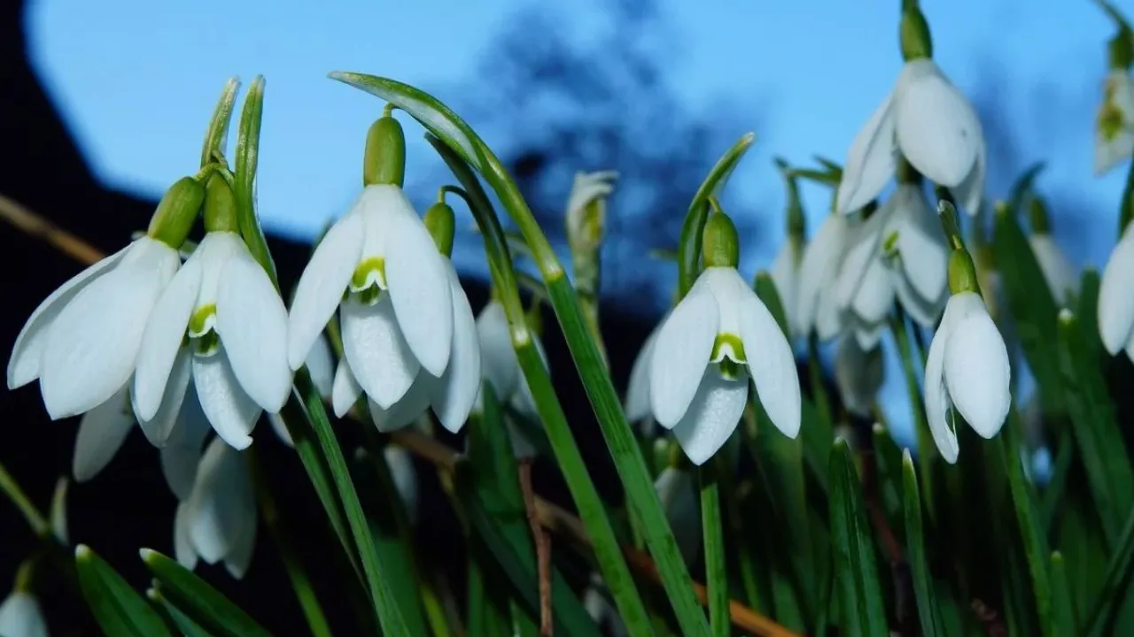 Сьогодні в Україну увірветься 15-градусне тепло: де температура буде найвищою 