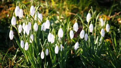 Чого не можна говорити, щоб не накликати горе в дім: звичаї у свято 6 березня 2025 - фото