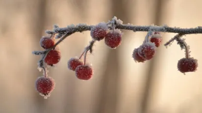 В Україну мчить похолодання: синоптикиня назвала точні дати - фото