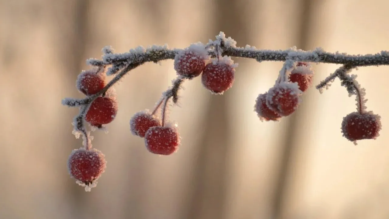 В Україну мчить похолодання: синоптикиня назвала точні дати 