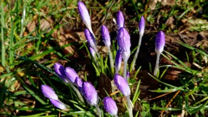 Гороскоп на 7 березня 2025 року для всіх знаків Зодіаку - фото