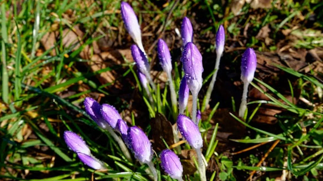 Гороскоп на 7 березня 2025 року для всіх знаків Зодіаку 