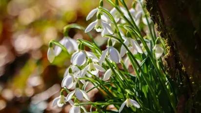 Очікується аномально тепла погода: синоптик здивував прогнозом - фото