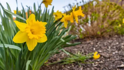 Гороскоп на 9 березня 2025 року для всіх знаків Зодіаку  - фото