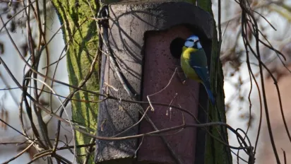 Кінець тижня потішить українців 15-градусним теплом: прогноз погоди - фото