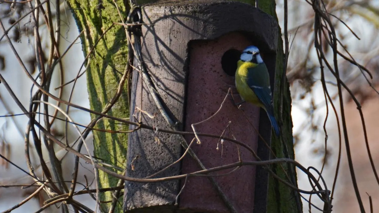 Кінець тижня потішить українців 15-градусним теплом: прогноз погоди 