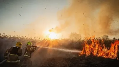 На Харківщині через спалювання трави загинула літня жінка - фото
