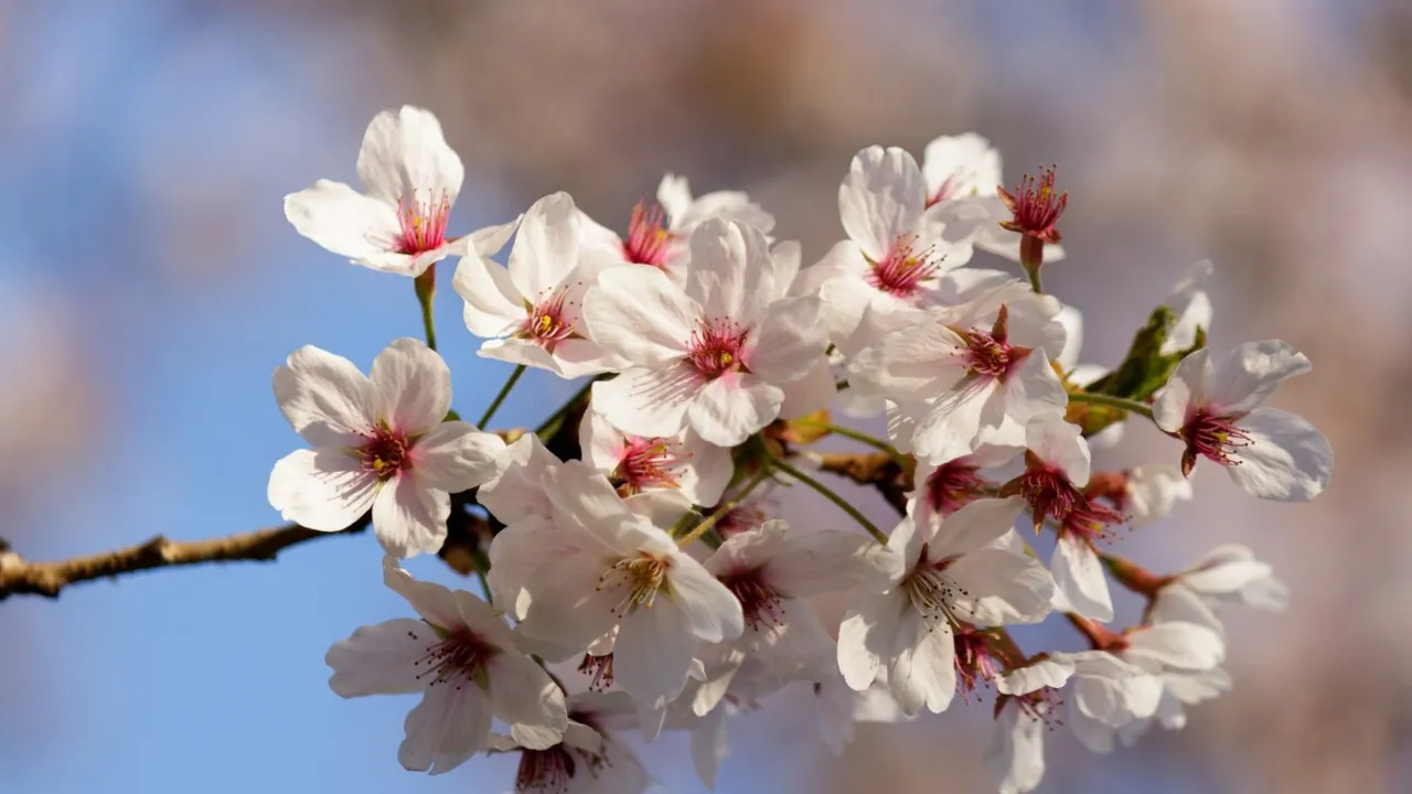 Гороскоп на 10 березня 2025 року для всіх знаків Зодіаку  