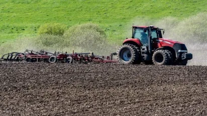В Україні подорожчала земля: скільки коштує гектар - фото