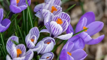 11 березня по всій Україні буде тепло, але є нюанс: прогноз синоптика - фото