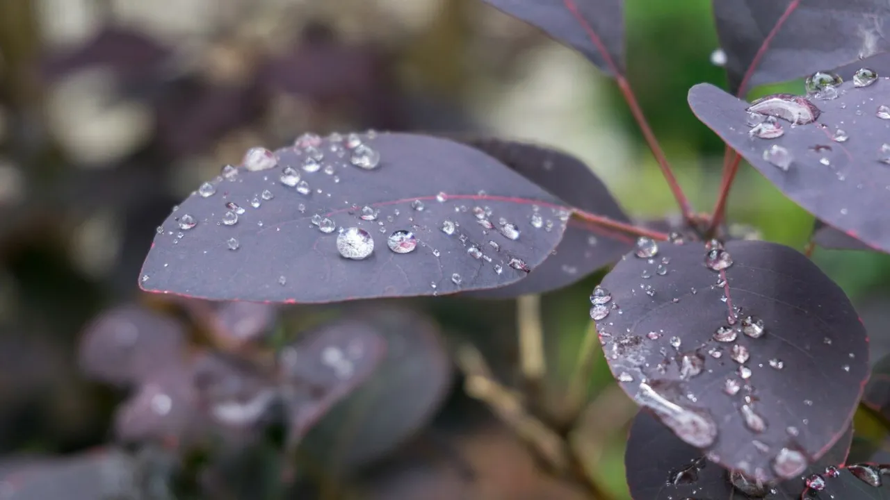 В Україну насувається атмосферний фронт: прогноз синоптика 
