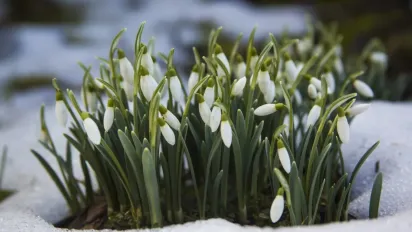 В Україну йде похолодання, можливий навіть мокрий сніг - синоптикиня - фото