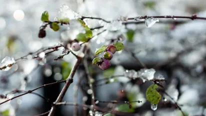 Дощі, вітер та похолодання будуть в Україні 12 березня, - синоптикиня Діденко - фото