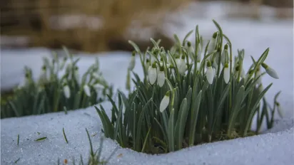 До України йде похолодання: синоптикиня попередила про різку зміну погоди - фото