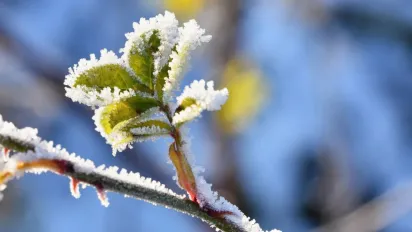 По всій Україні стане холодніше: прогноз погоди на 17 березня - фото