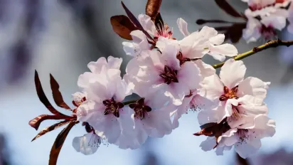 Синоптик повідомив, коли погода в Україні зміниться на більш весняну - фото
