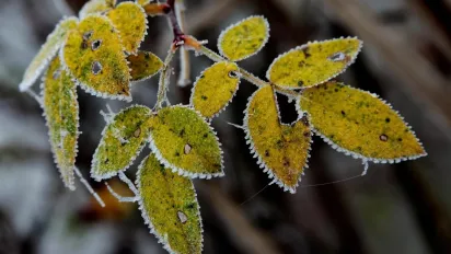 18 березня в Україну повернеться зима: прогноз синоптиків - фото