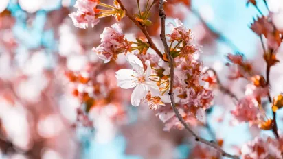 В Україну йде потужний антициклон: прогноз синоптика - фото