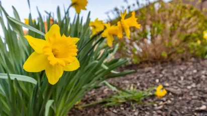 До України мчить потужний антициклон: якою буде погода - фото