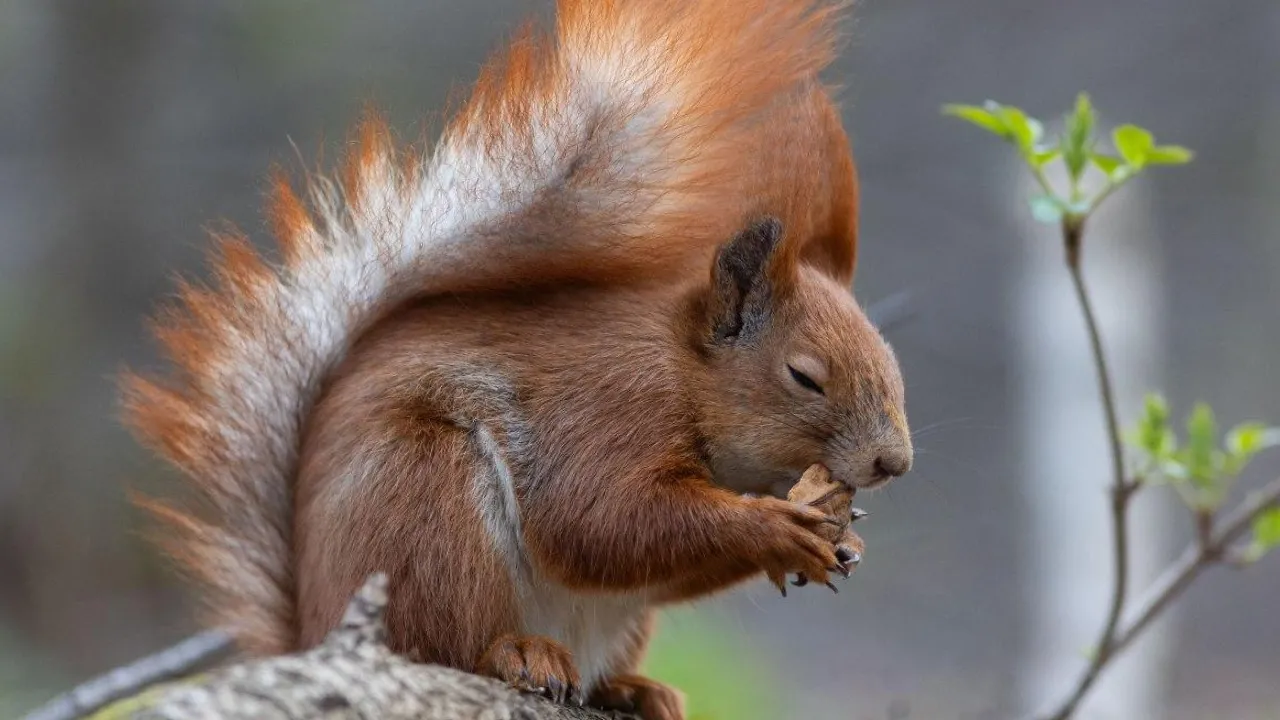 Розігріє до +16°: синоптик повідомив, де в Україні буде найтепліше 