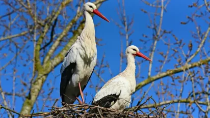 Синоптикиня Діденко повідомила, коли в Україну прийде потепління - фото