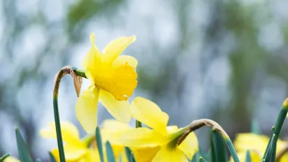 Антициклон охопить всю Україну: синоптикиня повідомила, що буде з погодою - фото