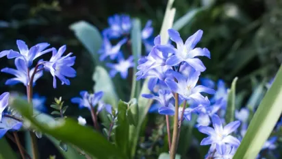 Перед вихідними стане ще трохи тепліше: прогноз на 21 березня - фото