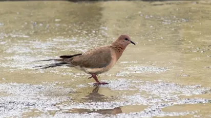 Синоптикиня Діденко попередила про зміну погоди на вихідних - фото