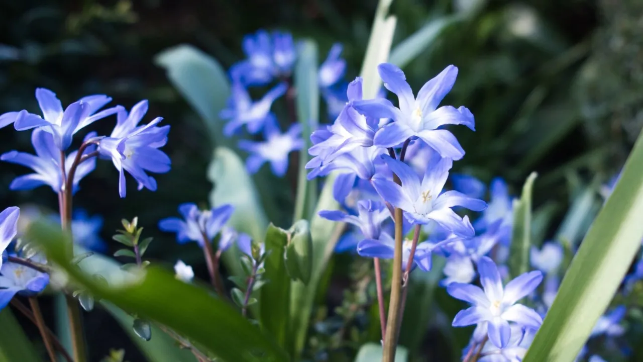 Сьогодні Україну розігріє до +16°: де буде найтепліше  