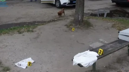 На Львівщині чоловік з ножем накинувся на перехожих: загинула жінка - фото