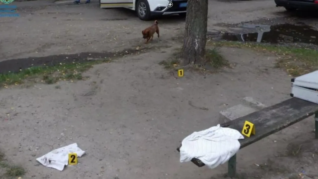 На Львівщині чоловік з ножем накинувся на перехожих: загинула жінка 