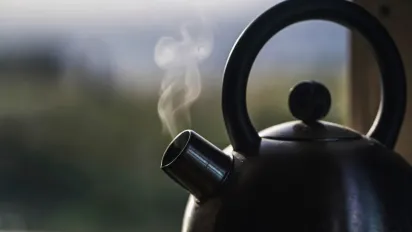 Чому не можна чистити чайник лимонною кислотою: відповідь вас здивує - фото