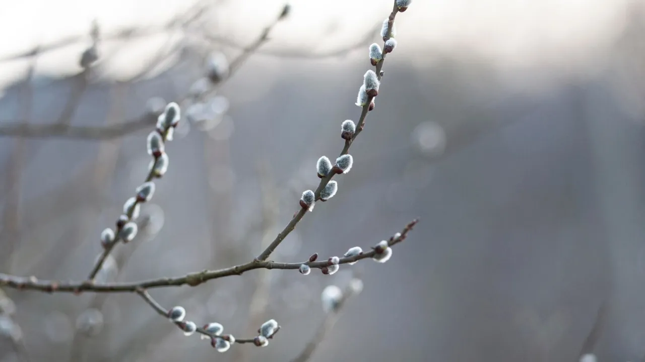 В Україні очікується різке похолодання: синоптикиня здивувала прогнозом 